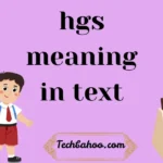 hgs meaning in text
