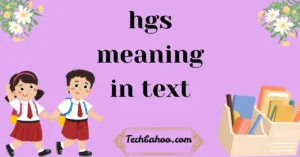hgs meaning in text