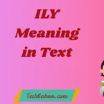 ILY Meaning in Text