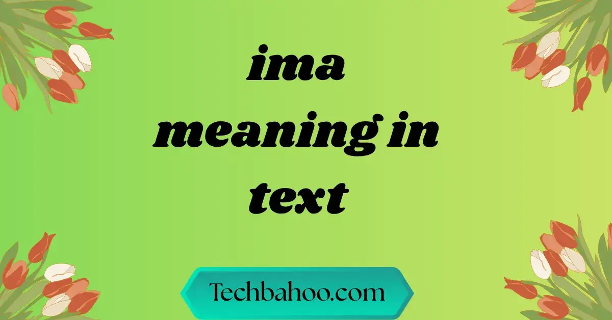 IMA Meaning in Text