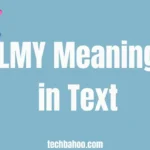 LMY Meaning in Text