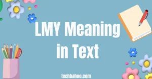 LMY Meaning in Text