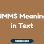 NMMS Meaning in Text