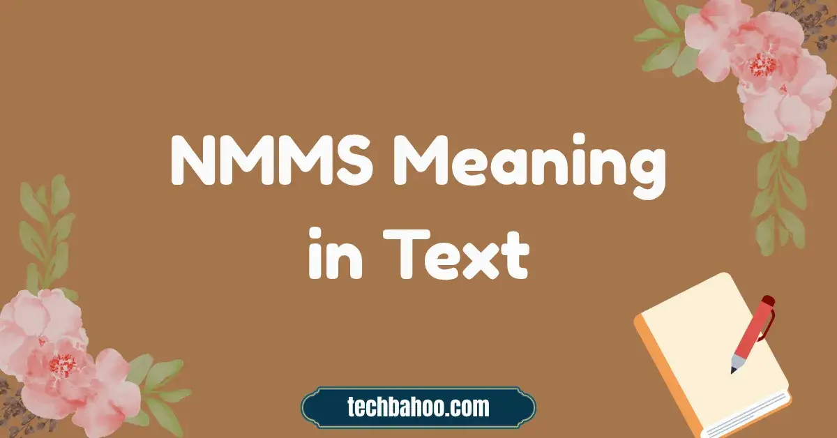 NMMS Meaning in Text