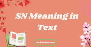 SN Meaning in Text