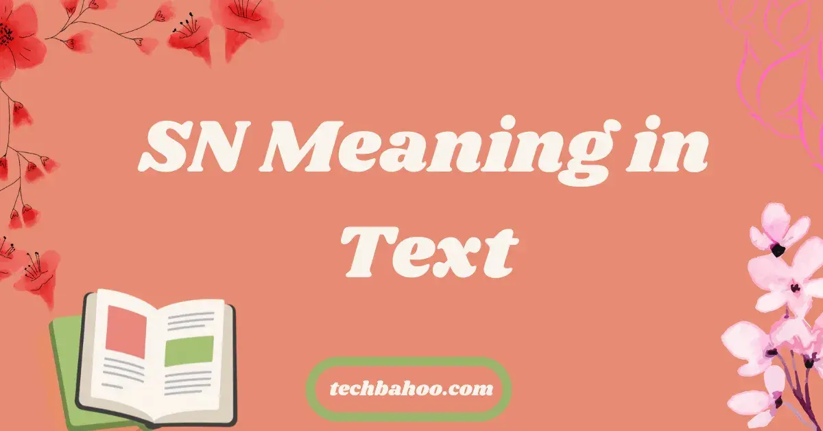 SN Meaning in Text
