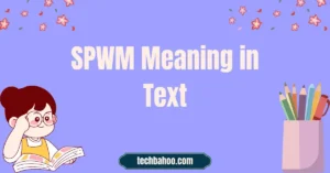 SPWM Meaning in Text