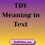 TDY Meaning in Text