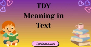 TDY Meaning in Text