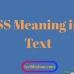 SS Meaning in Text