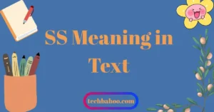 SS Meaning in Text